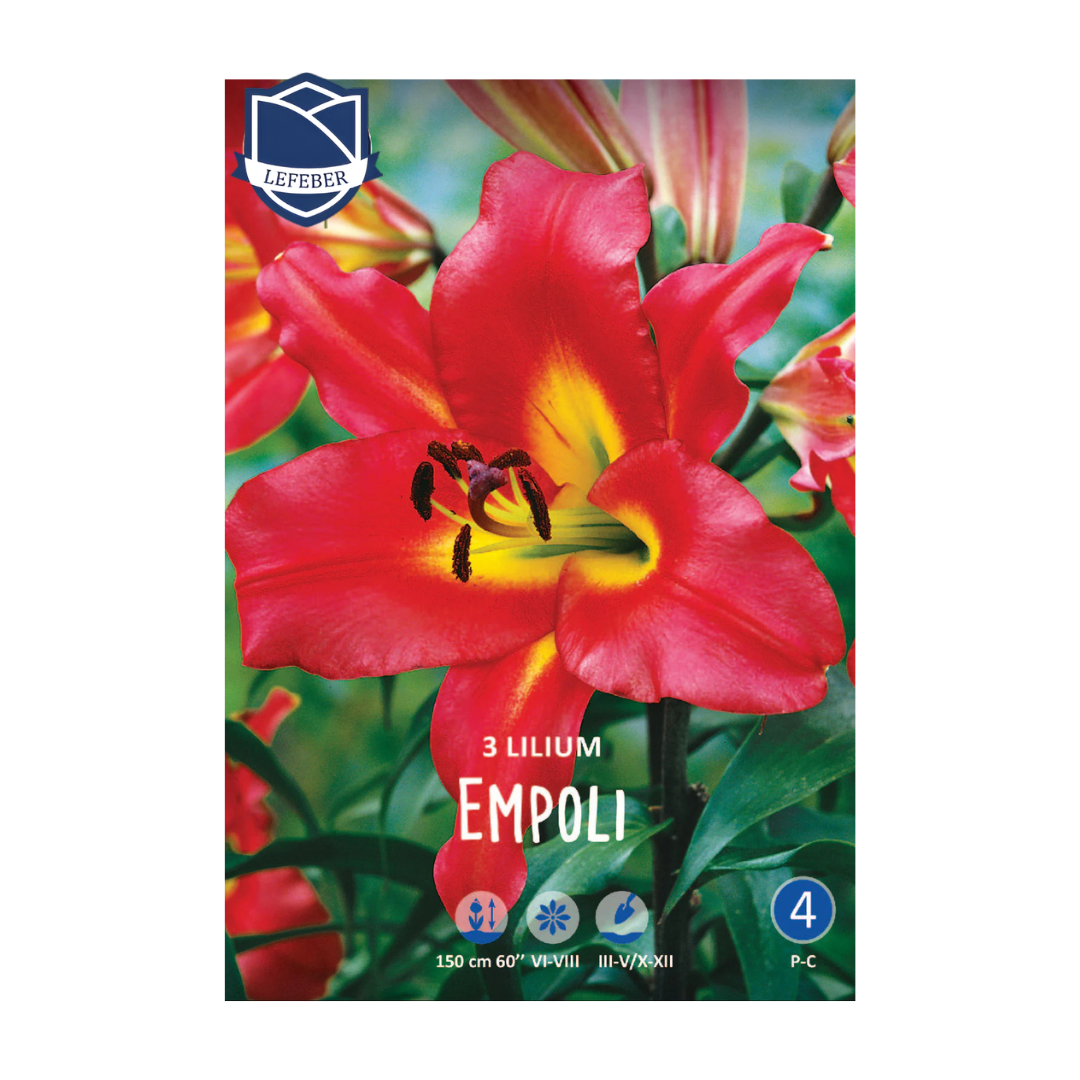 1701f6_ecb427ac7e7640feb8ce96c56e9c9e1dmv2.png Lilium Empoli (3) -Крин - Image 1