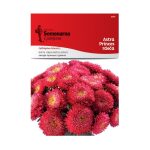 Астра Принцес Црвена (Callistephus chinensis L.)