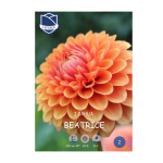 Dahlia Beatrice (1) - Далија